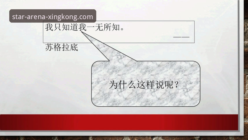 从波黑到星空：一场失利背后的竞技哲学深度评测